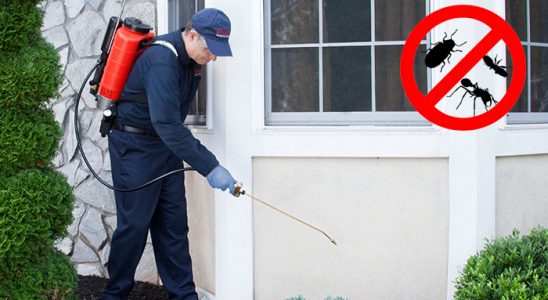 Kayseri Akrep İlaçlama böcek ilaçlama ve haşere kontrolü — ilaclama-tr.com